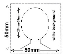 US Passfoto, Foto für die Greencard, Visumfoto für Indien, Visumfoto für die Vereinigten Staaten
